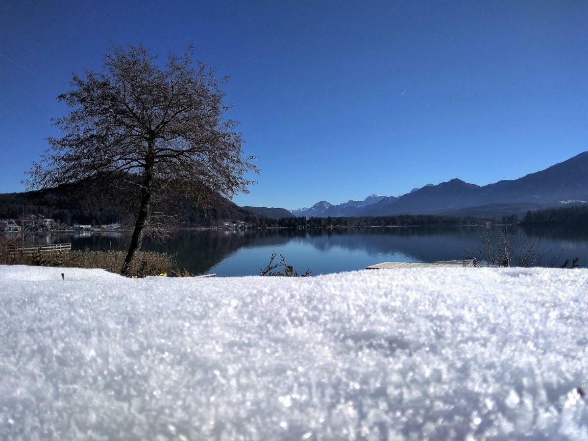 Ossiachersee Apartments ชไตน์ดอร์ฟ อัม ออสเซียเฮอร์ ซี ภายนอก รูปภาพ